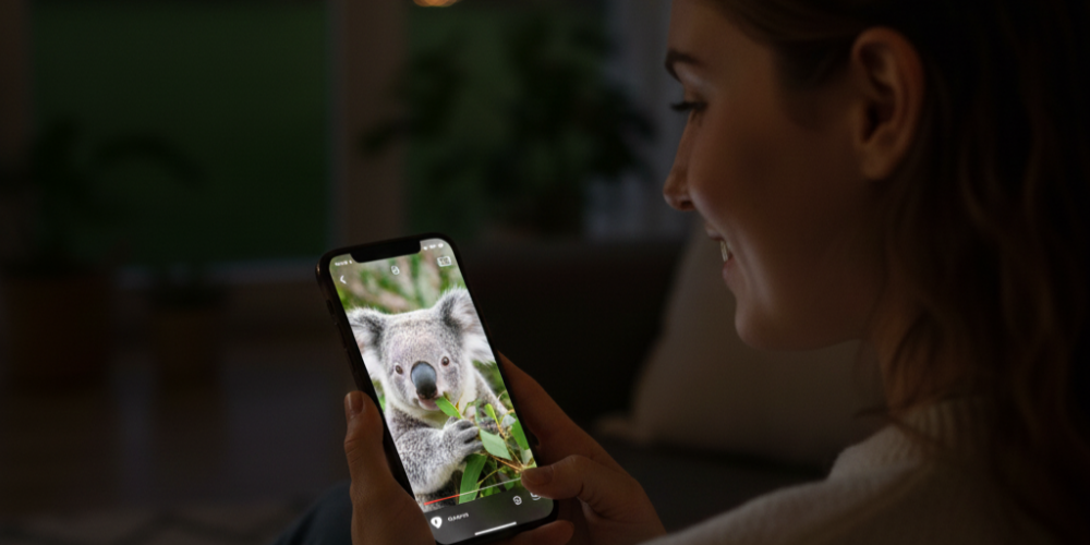 Gemini Generated Image 9rxrwn9rxrwn9rxr2