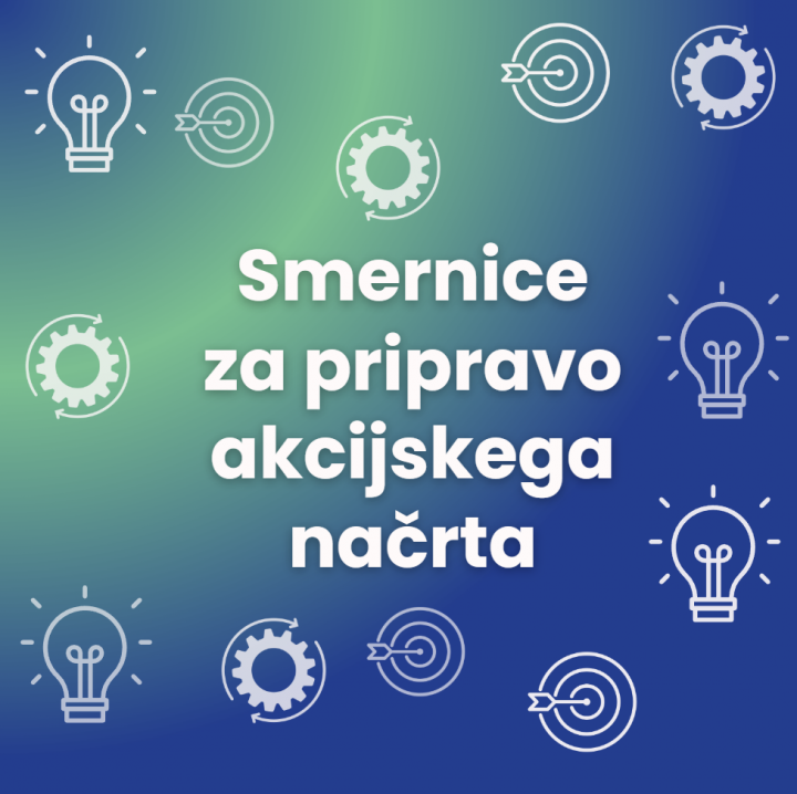 Guidelines for preparing an action plan